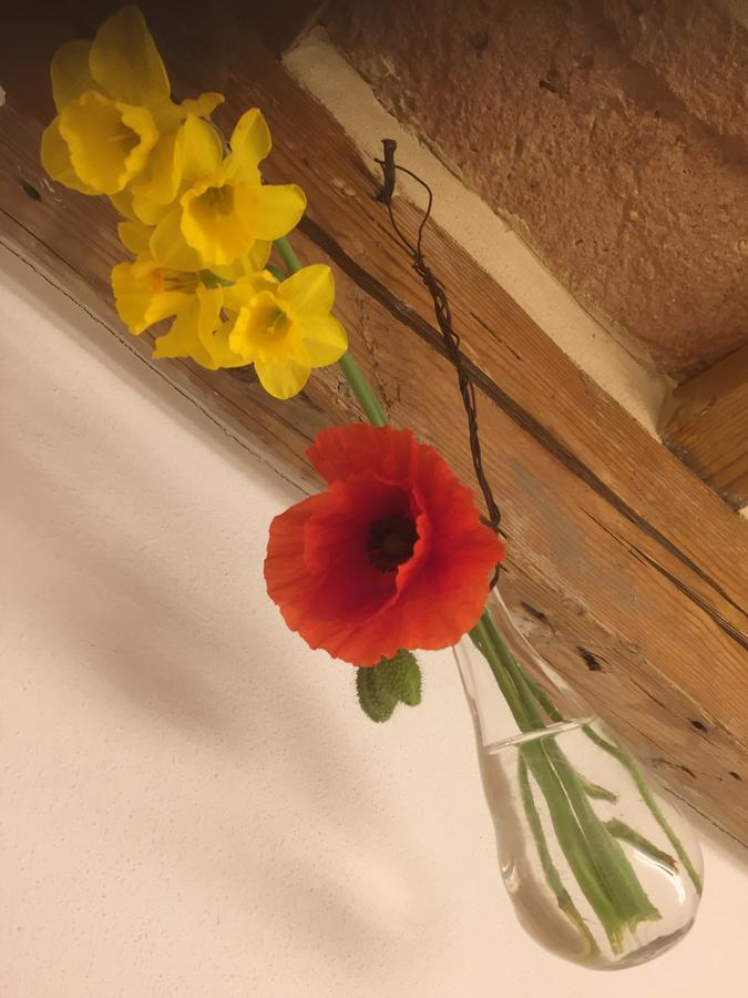 Bed and Breakfast Tabano Ristorante-Casolare Єзі Екстер'єр фото